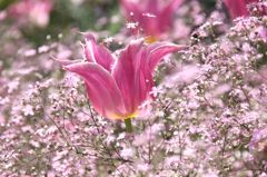 光の中で・・・