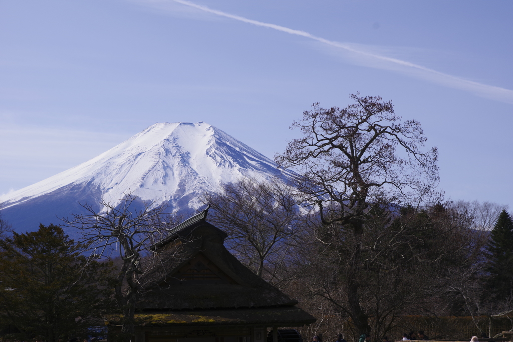 忍野八海からの富士山