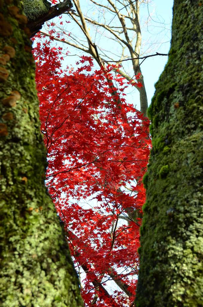 DSC_2899