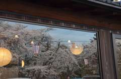 桜窓