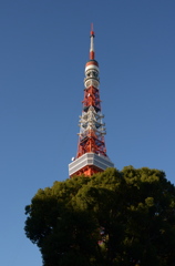 DSC_8006