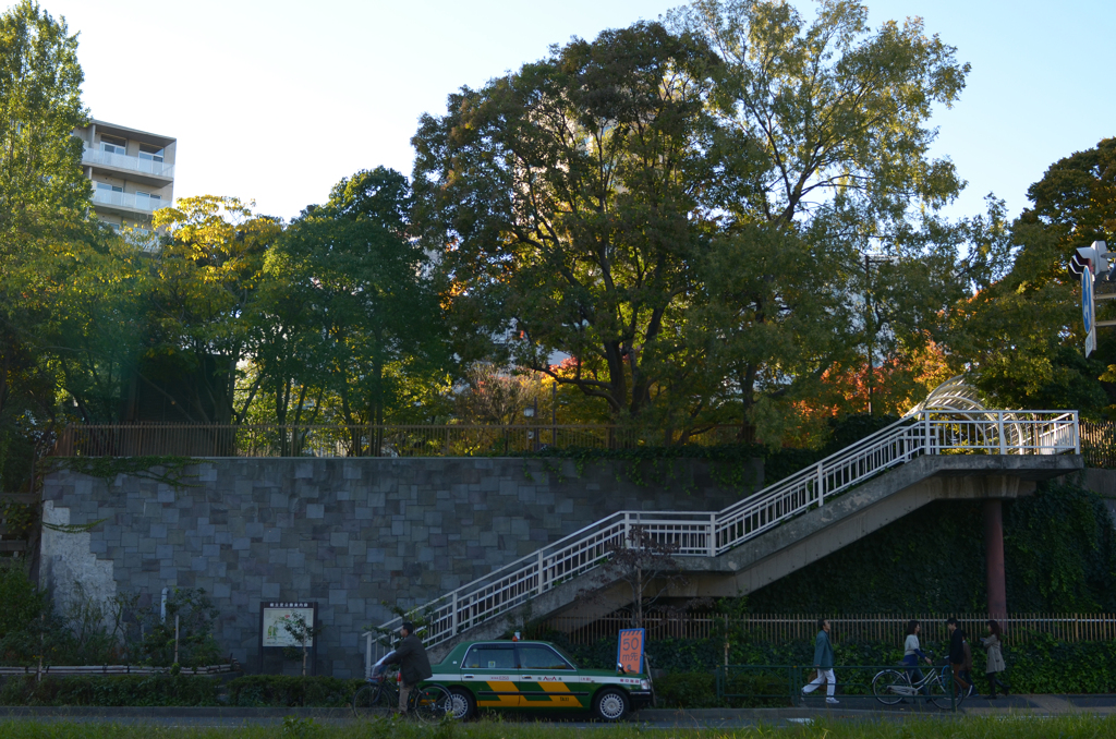 DSC_8005