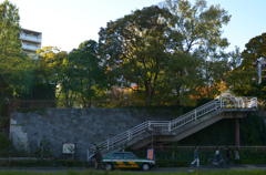 DSC_8005