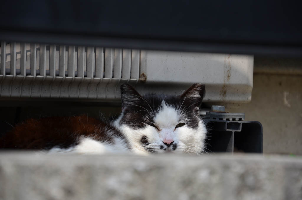 DSC_0071