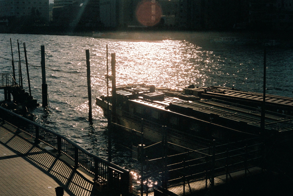 FH000016