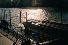 FH000016