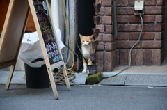 DSC_0673