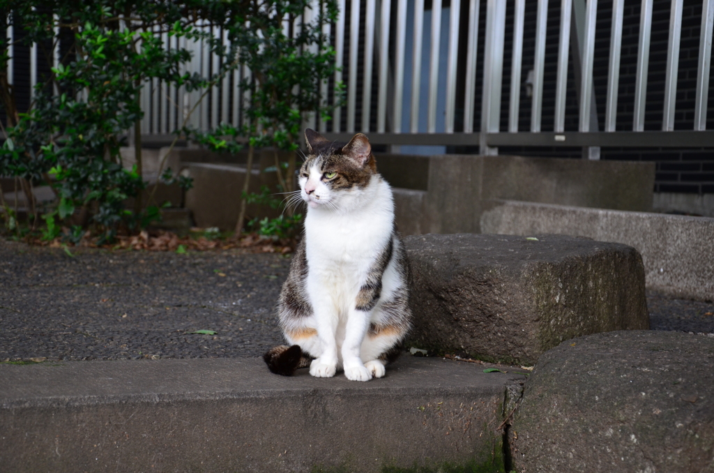 DSC_0374