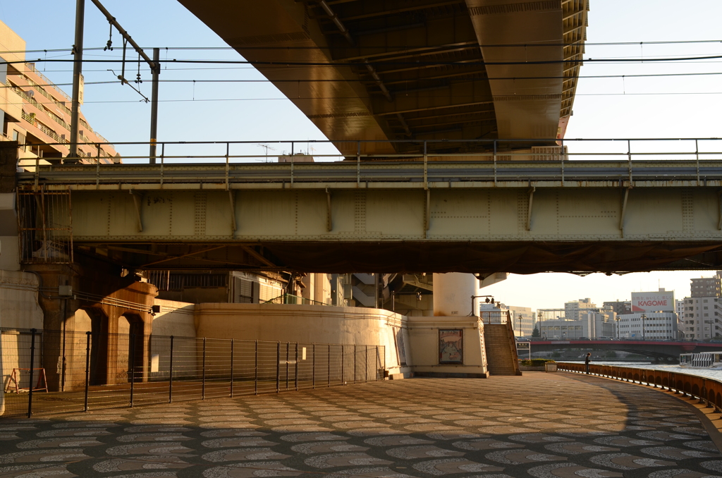 DSC_7654