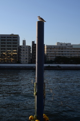 DSC_7640