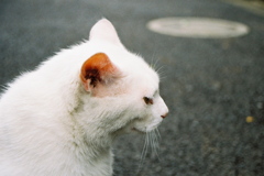 FH010010