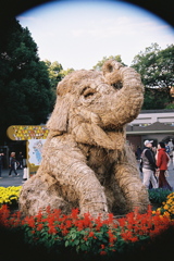 FH000010
