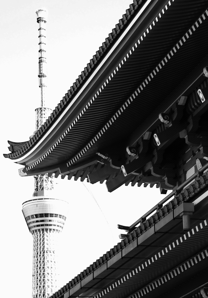 新旧対決