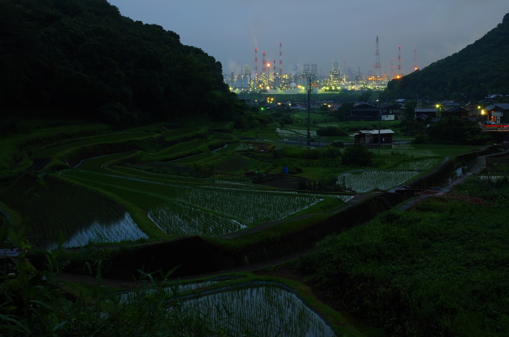 秘密基地発見！