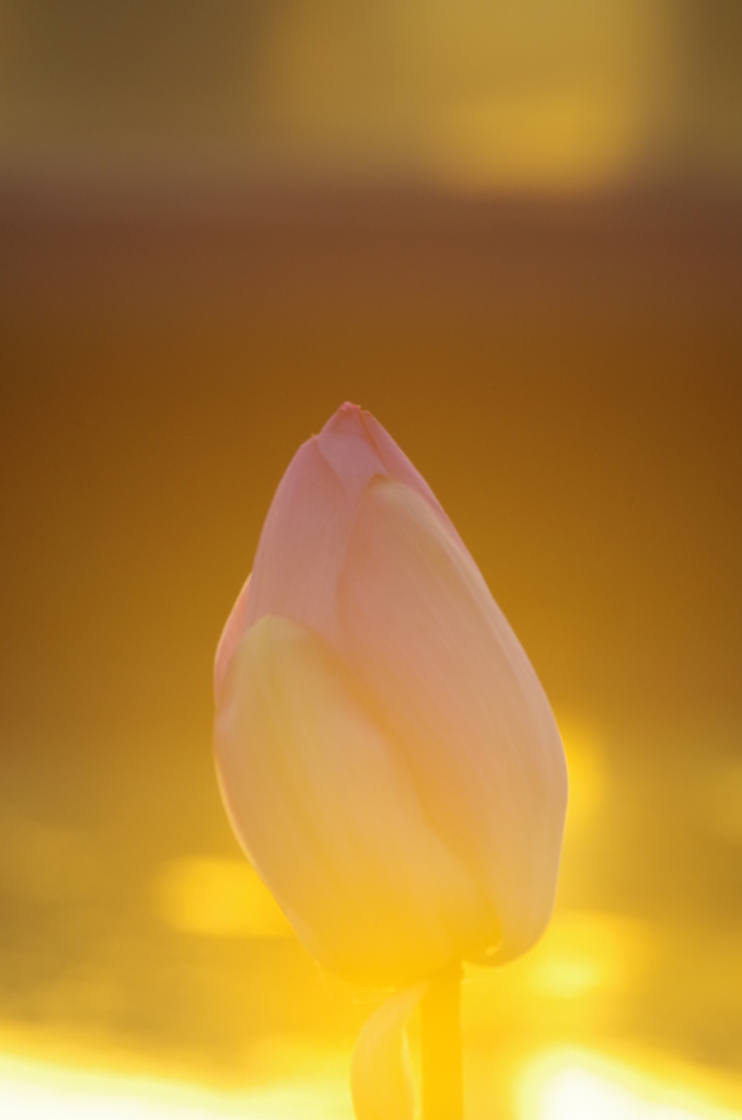 神秘　その１
