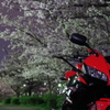 桜と記念写真