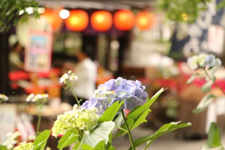 初夏の予感