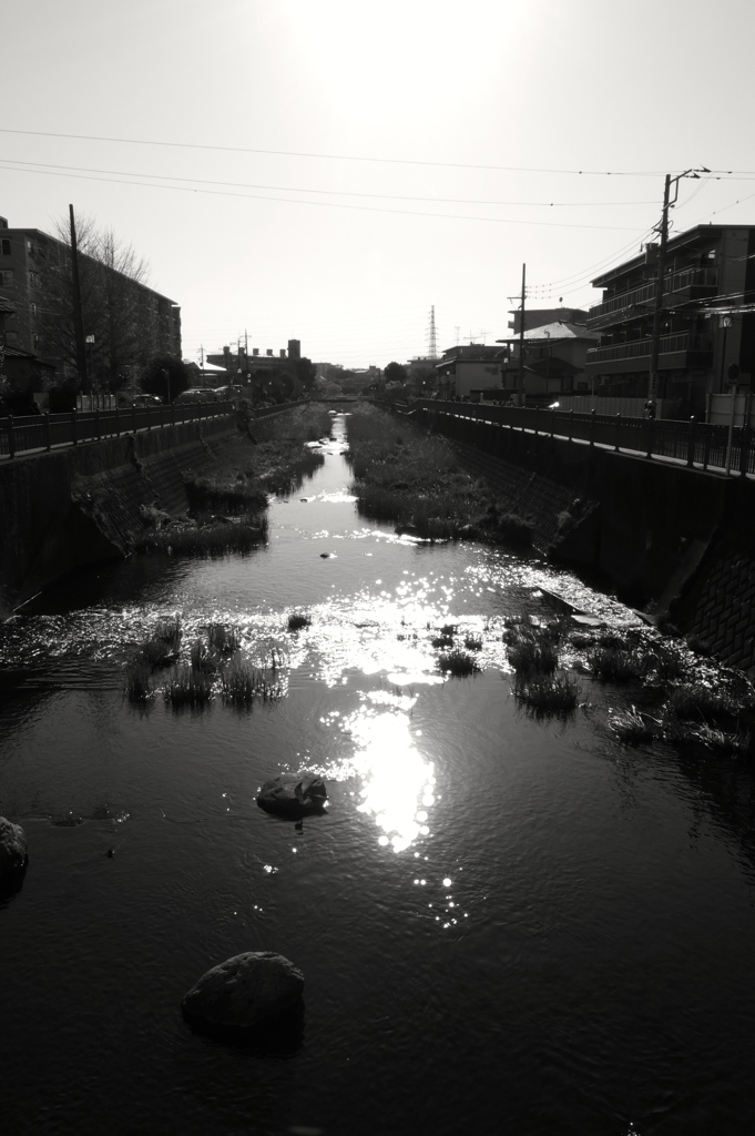 Silence 春の静寂