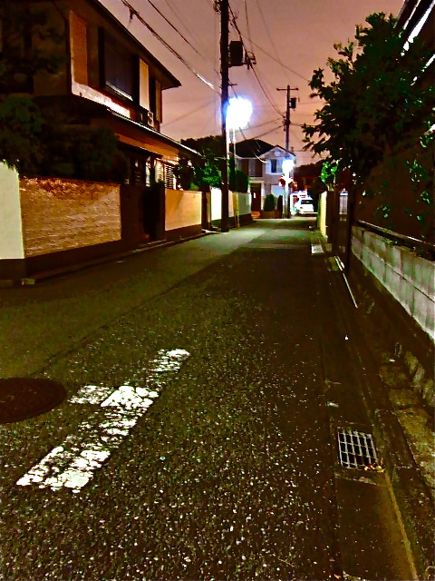 GOING HOME