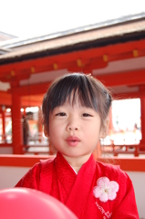 厳島神社にて　七五三　