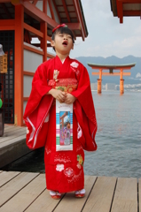 厳島神社　七五三　７歳