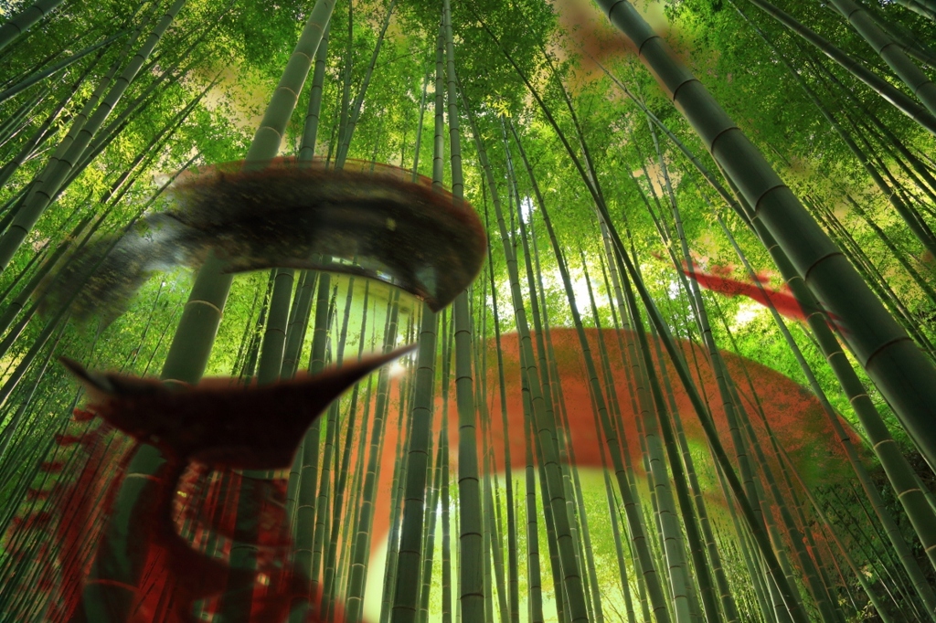 竹林と、お抹茶