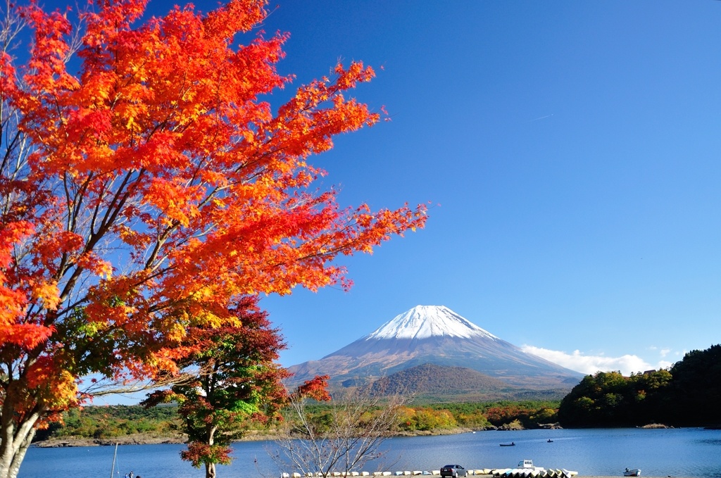富士山と紅葉２
