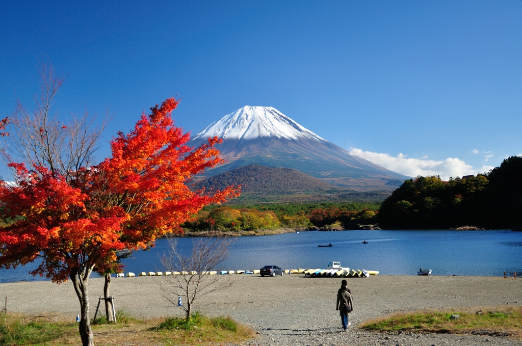 富士山と紅葉