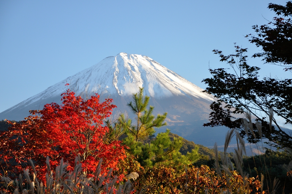 西湖湖畔の紅葉と富士２