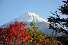 西湖湖畔の紅葉と富士２