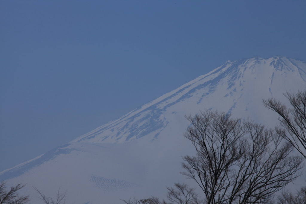 そばにおいで。。。。