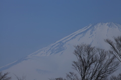 そばにおいで。。。。