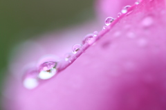 雨音はショパンの調べ。。。。