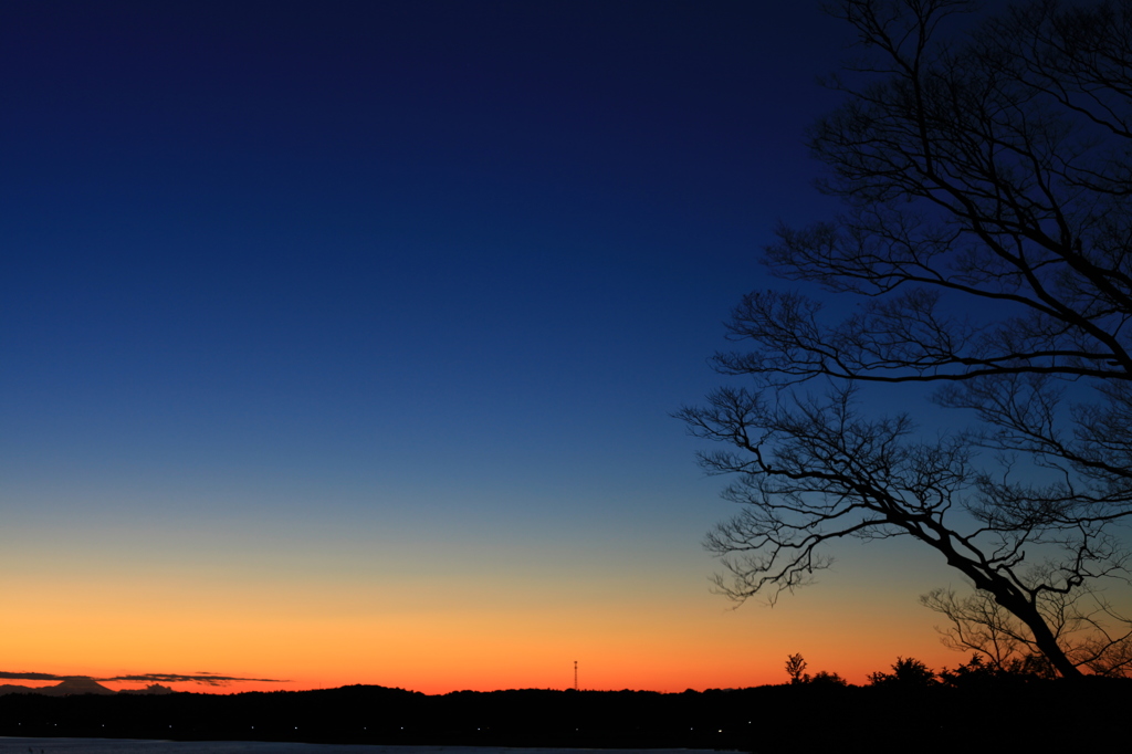 夕焼けの歌。。。。