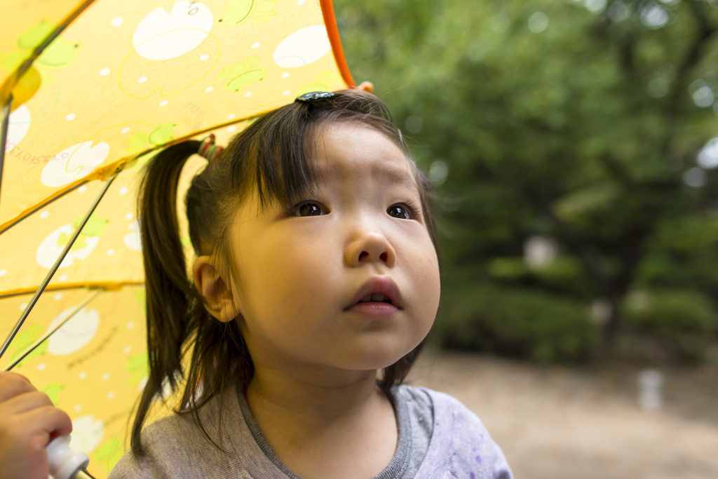 雨やむかな？