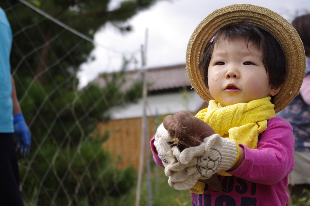 おいも掘れたよ！