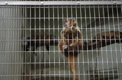 不審者はいないか