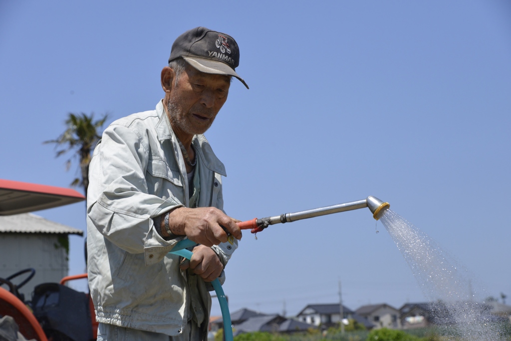 入念に