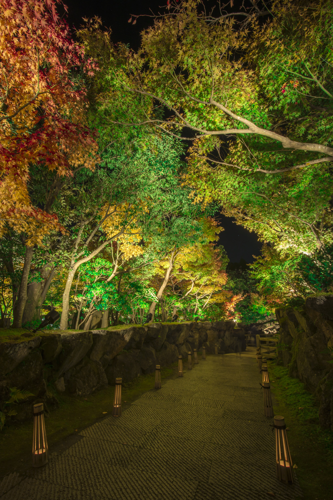 彩のトンネル