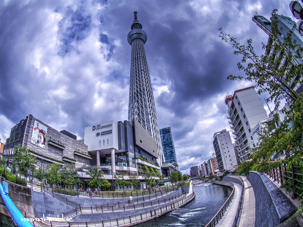 スカイツリー　HDR