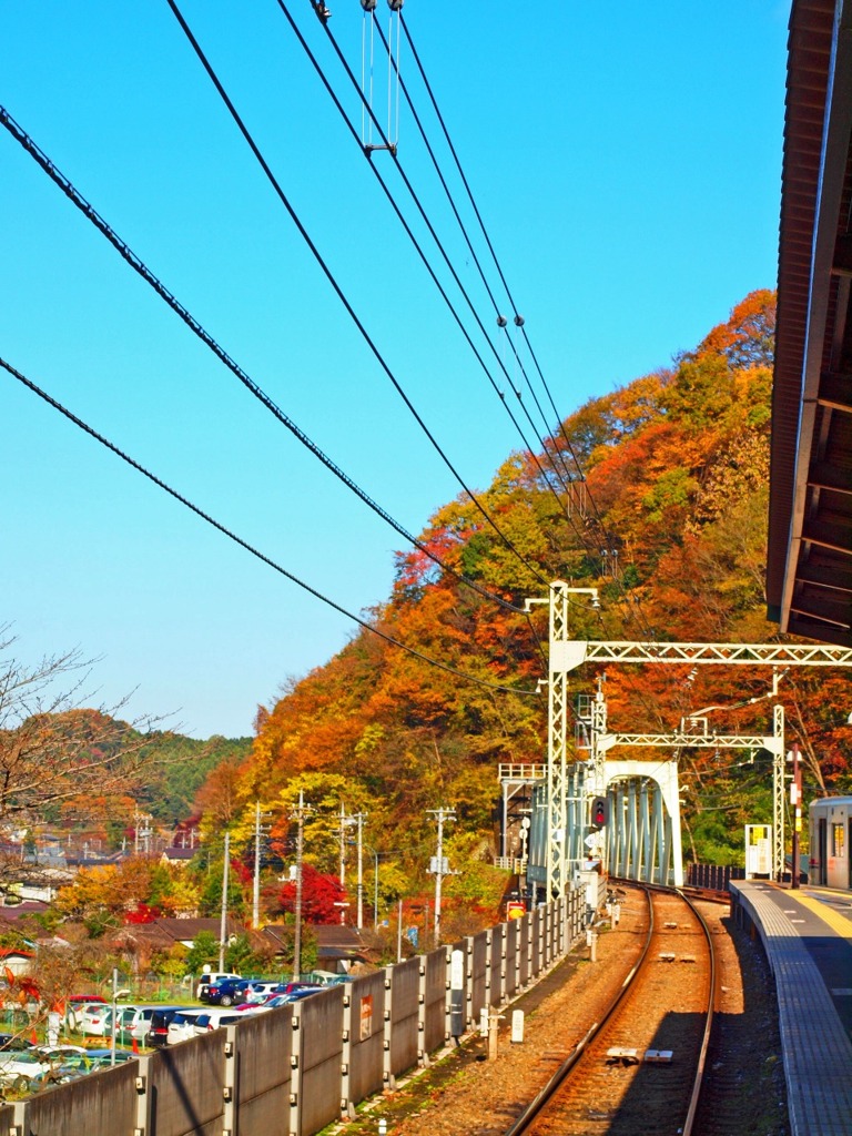 秋と線路