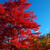 昭和記念公園（東京立川）