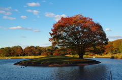 昭和記念公園（東京立川）
