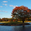 昭和記念公園（東京立川）