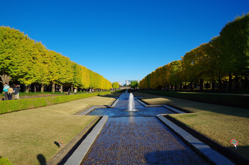 昭和記念公園（東京立川）