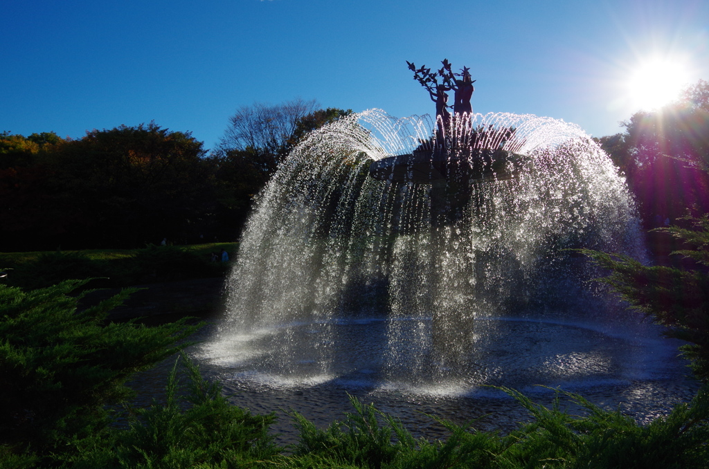 昭和記念公園（東京立川）