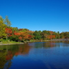 昭和記念公園（東京立川）