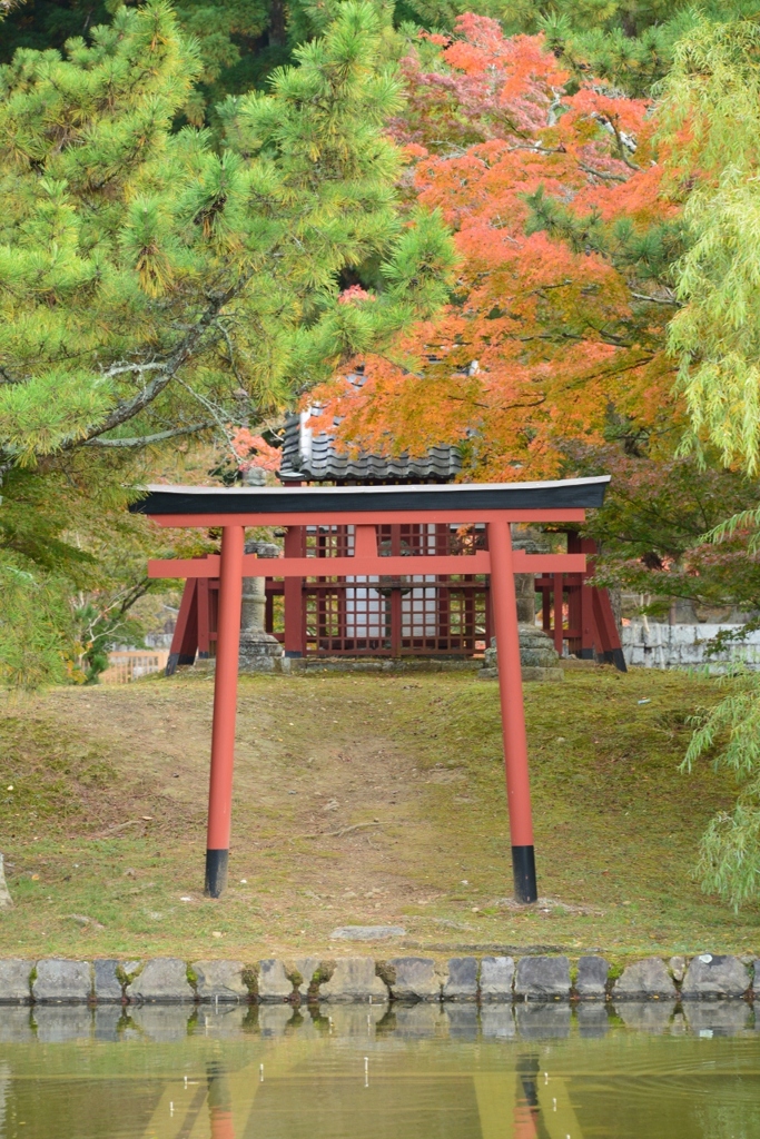 奈良公園
