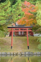 奈良公園