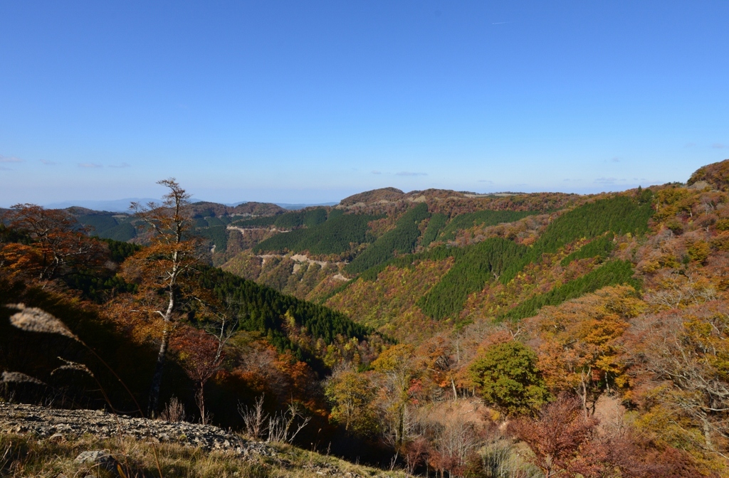 高野竜神スカイラインからの秋景色